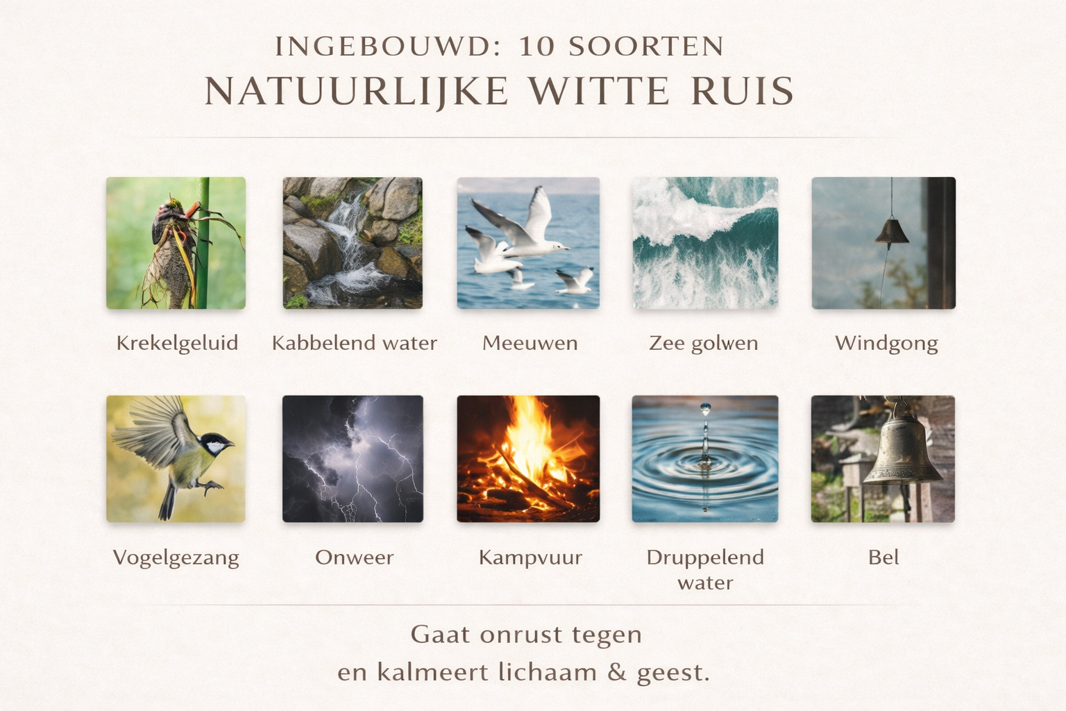 Witte Ruis Slaaplamp